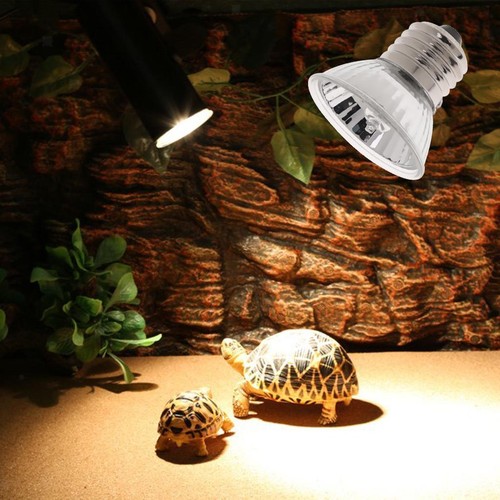 Uva uvb reptile heat basking - uva+uvb,