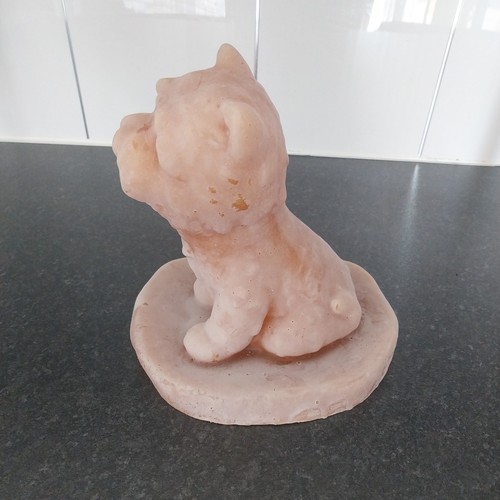 Latex mould create this - mould, to