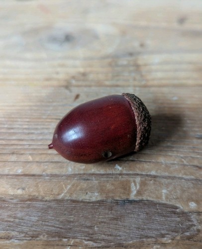 Vintage large wooden acorn - vintage,
