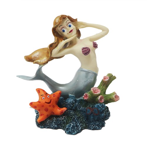 Betta posing mermaid aquarium - posing,