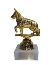 Personalised Gold Dog Show