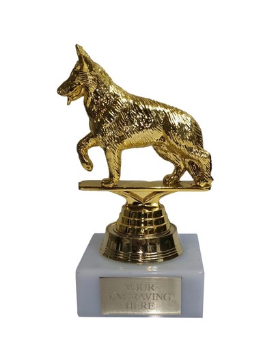 Personalised gold dog show - personalised,