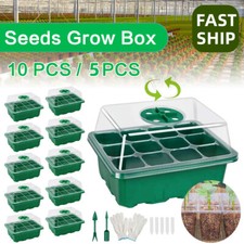 5/10x 12 Cells Seedling