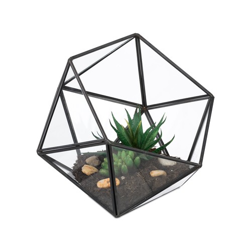 Geometric plant terrarium - geometric,