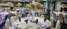 Ostrich Feather Hire Party
