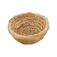 Pigeon Breeding Nest Bird