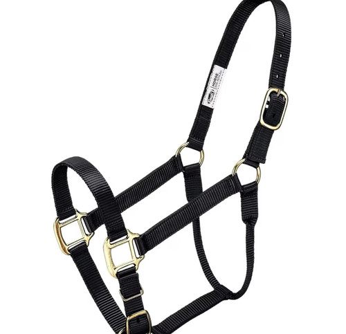 Miniature horse premium - premium, nylon