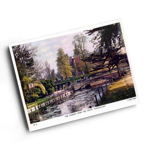 Print vintage surrey - vintage,