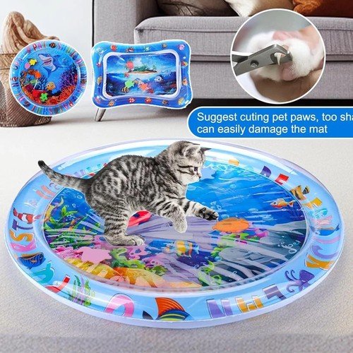 Cat dog water play - water,