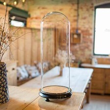 Tall Antique Display Showcase