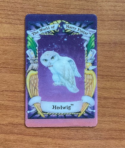 Harry potter chocolate - potter, frog