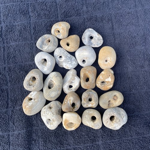 Twenty natural hag stones - hag,