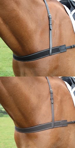 Shires blenheim elastic - shires,