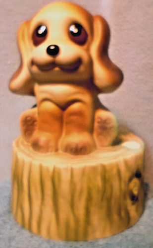 Cocker spaniel mann music - music, box
