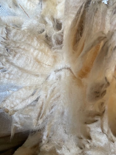 White raw sheep wool - raw,