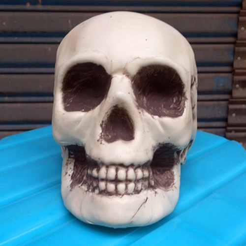 Pcs halloween skull - pcs, ornament