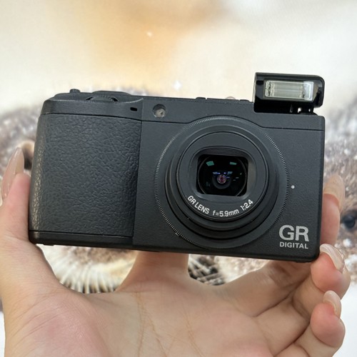 Ricoh digital grd2 - ricoh,