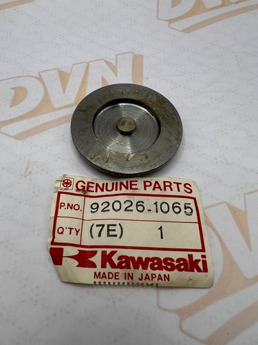 New genuine kawasaki z1000 - new,