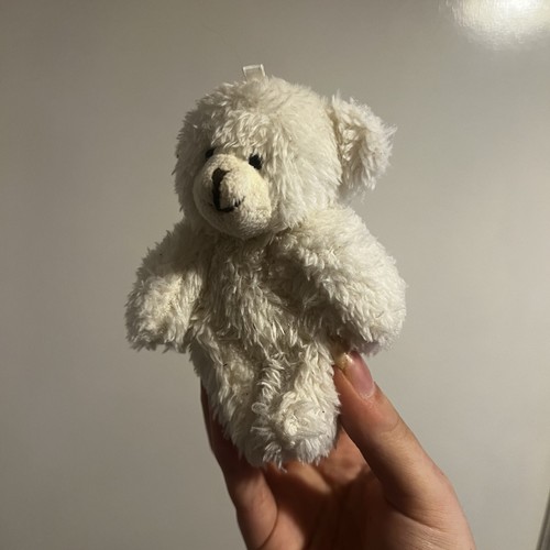 Cute small white - cute, teddy