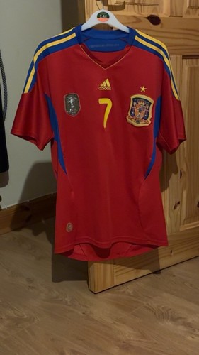 Spain 2010 world cup - cup, home