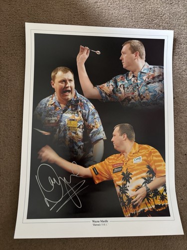 Wayne mardle hand signed darts - hand,