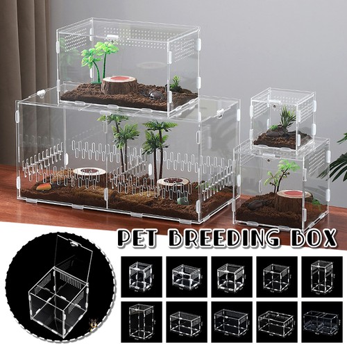 Acrylic reptile breeding box - acrylic,