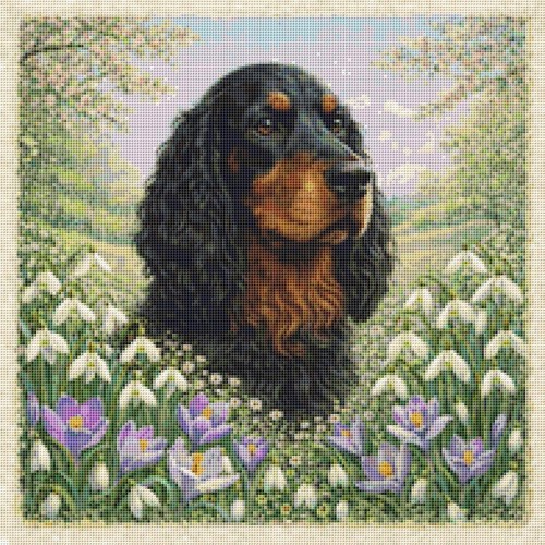 Gordon setter puppy dog - puppy, in