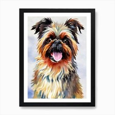Brussels Griffon 3 Watercolour