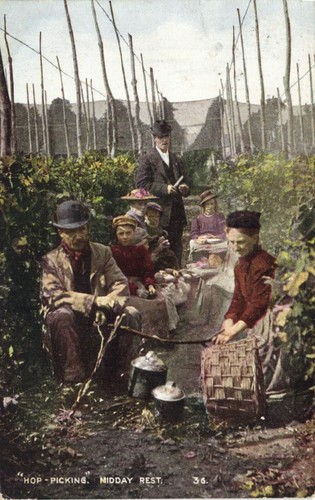 Hop picking midday rest - pc,