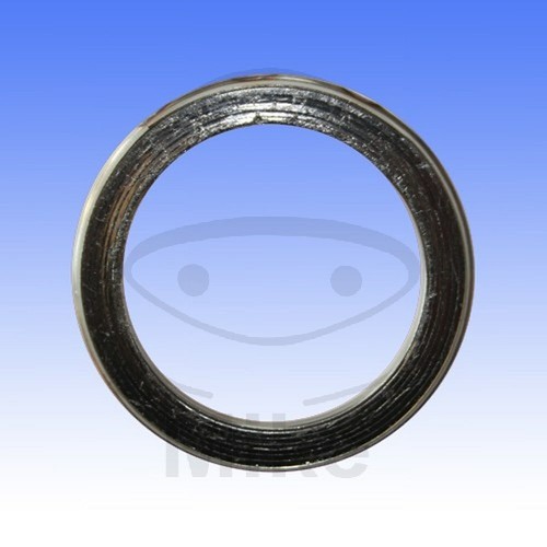 Exhaust gasket 29x38 - exhaust,