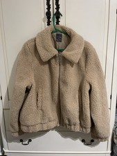 Brown Teddy Bear Collared