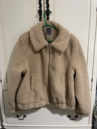 Brown teddy bear - bear, collared