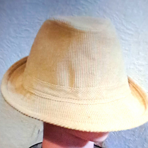 Men beige corduroy fedora - corduroy,