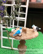 Three Colourful Birds New Colours, Dolls House Miniatures, Garden, Animals