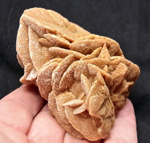 Desert rose gypsum from - 3",