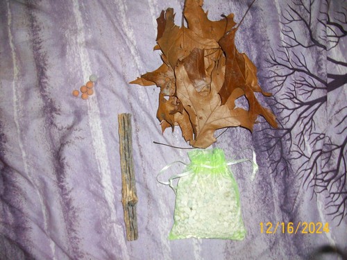 Neacaridina shrimp starter kit - shrimp,