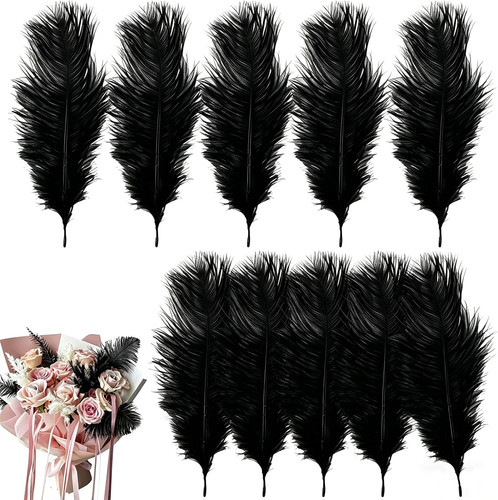 Pcs ostrich feathers - pcs,