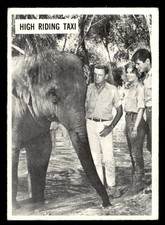 1966 Philadelphia Daktari #49