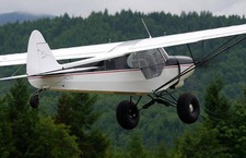 Scale piper super - scale,