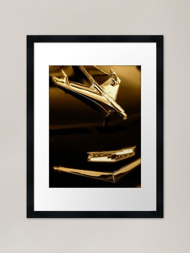Chevy hood ornament framed - ornament,