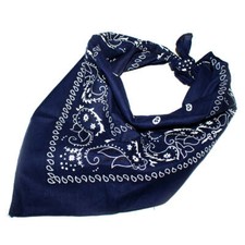 BANDANA PAISLEY NECK HEAD