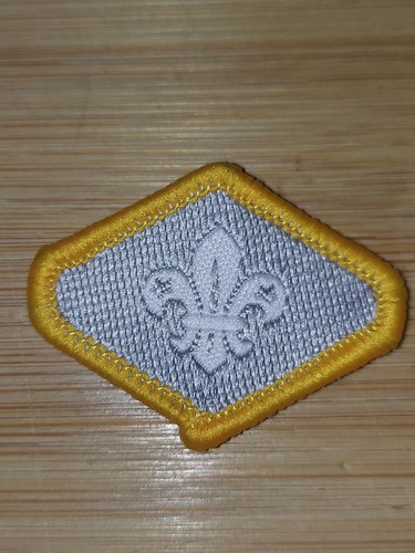 Scouting discontinued chief - scouting,