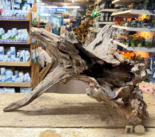 Large corbo root - corbo, aquarium