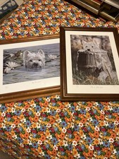 Vintage Paul Doyle Limited