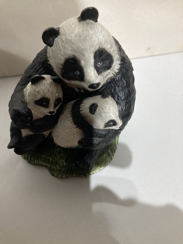 Panda family bear - panda,