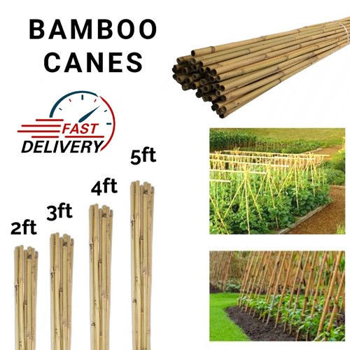 Ft strong bamboo canes - 2/3/4/5,