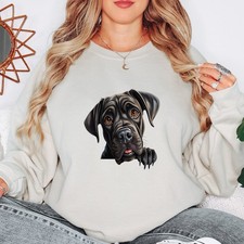 Cane Corso Puppy Dog Animals