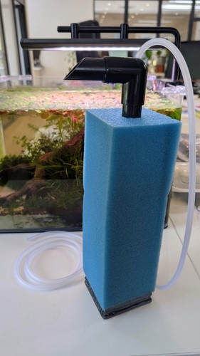 Aquarium sponge filter - aquarium,