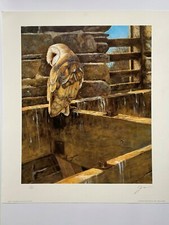 Bird  art Barn Owl Limited