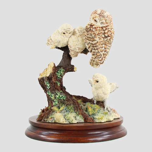 Watchful eye owl border fine - watchful,